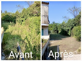 Débroussaillage terrain en friche avant/après