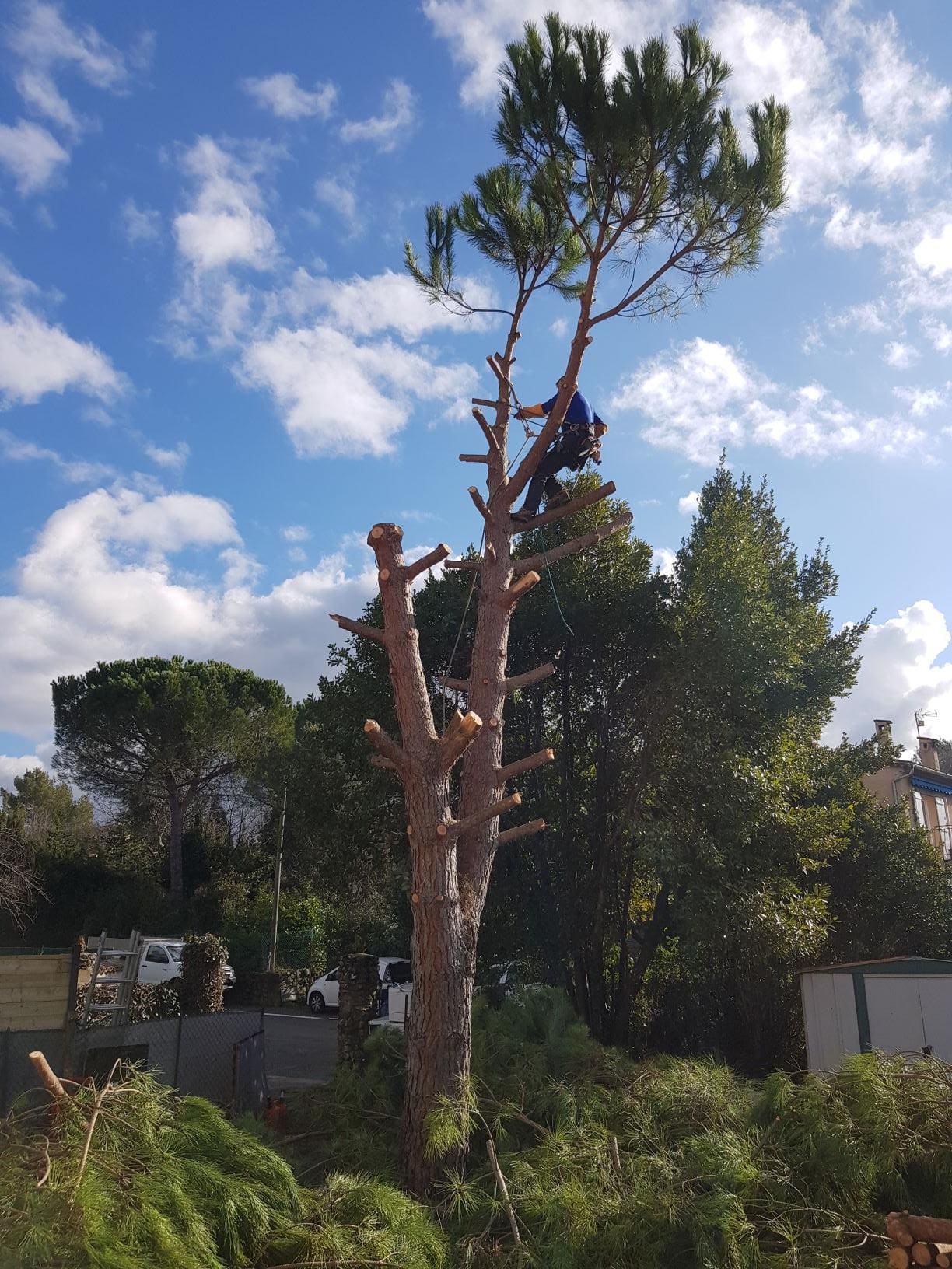 Entretien de jardin à Lattes