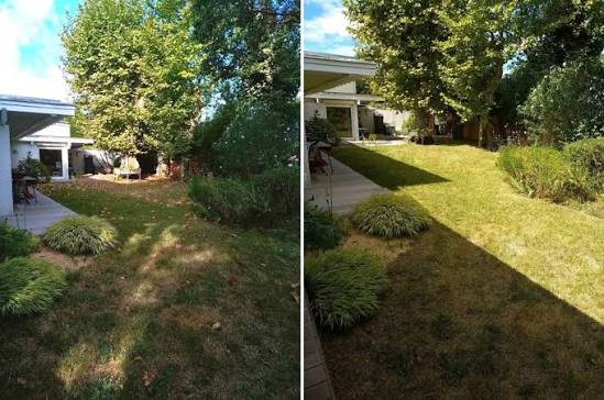 Entretien de jardin et tonte de pelouse à Montpellier