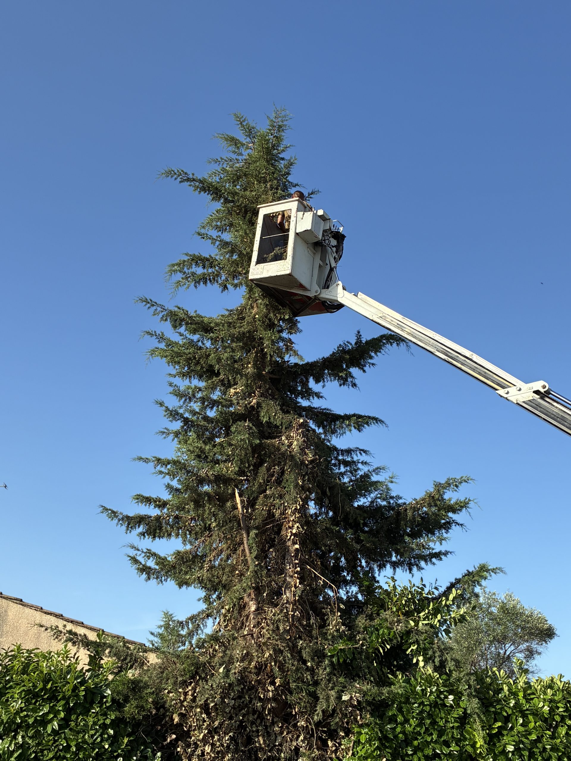 Travail de finition sur jardin paysager