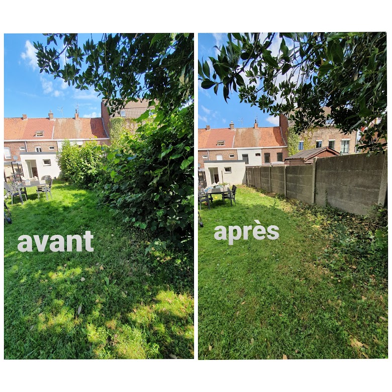 Allée d'oliviers entretenue à Pérols