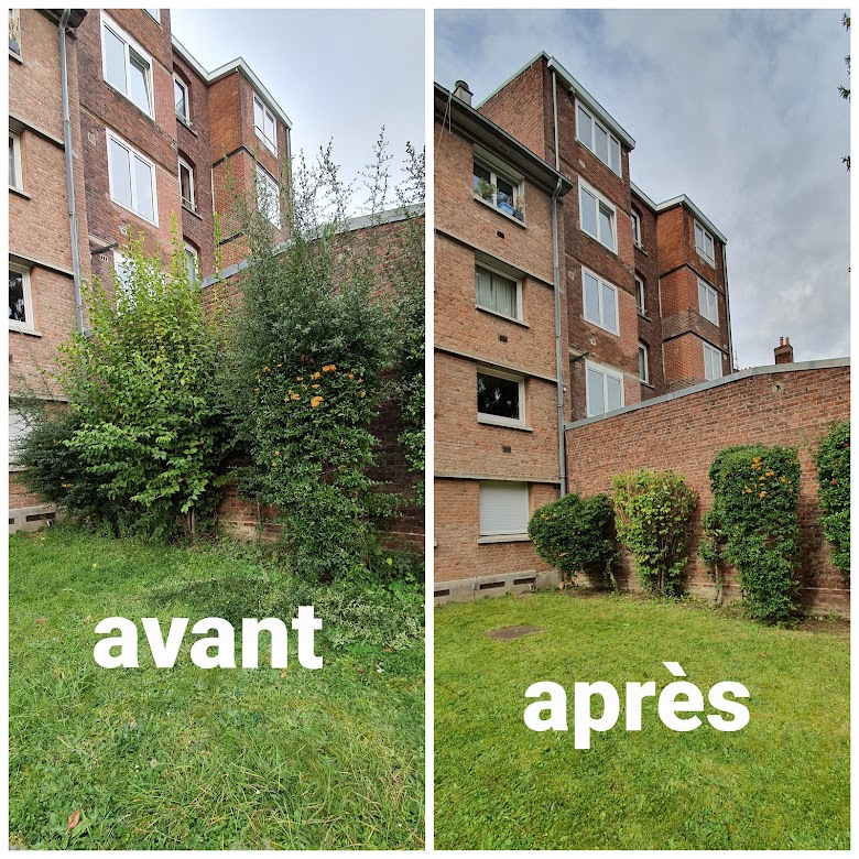 Taille de haie de cyprès à Castelnau